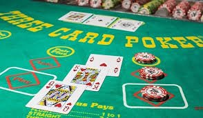 slotvip cc privacy policy and account data protection information